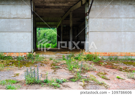 Abandoned feed mill near resettled village of Dronki in exclusion zone of Chernobyl nuclear power plant, Belarus Abandoned feed mill near resettled village of Dronki in exclusion zone of Chernobyl nuclear power plant, Belarus 109786606