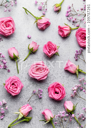 Colored gypsophila flowers and pink roses on concrete background Colored gypsophila flowers and pink roses on concrete background 109787261