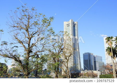 從運河看到的港未來（神奈川縣橫濱市西區，冬季） 109787529