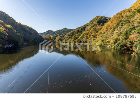 埼玉縣本莊市美麗的馬瀨湖 埼玉縣本莊市美麗的馬瀨湖 109787693