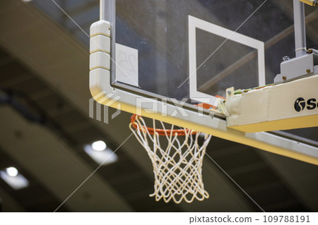 Landscape with a basketball goal 109788191