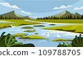 Wetland landscape 109788705
