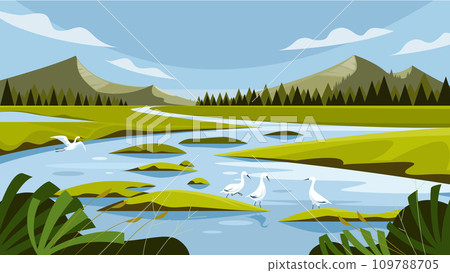Wetland landscape 109788705