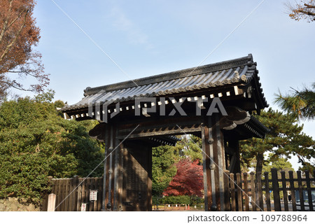 Hamaguri Gomon Kyoto Gyoen National Garden Autumn 109788964