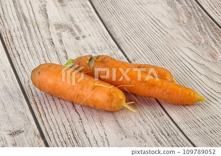 Yoiung natural organic carrot heap 109789052