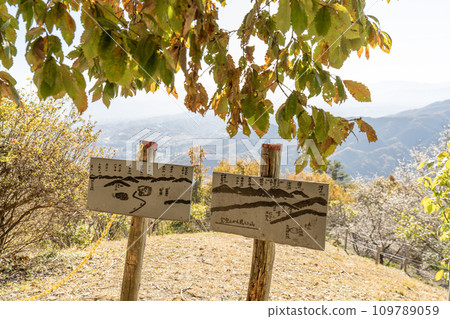 從寶登山山頂眺望長瀞町 109789059