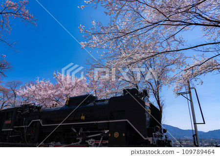 [櫻花材料] SL和櫻花[長野縣] 109789464