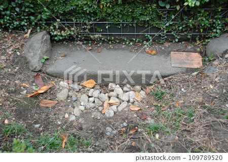 Reproduction of the Kyobashi River seawall (Chuo-ku, Tokyo) 109789520