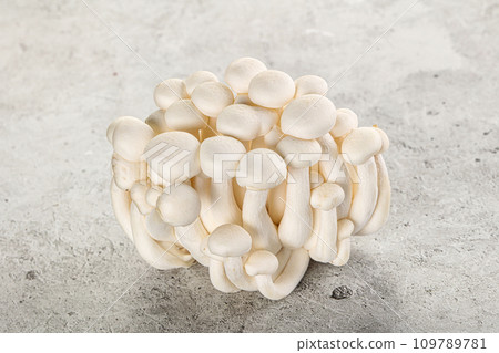 Japanese Shimeji mushroom for cooking Japanese Shimeji mushroom for cooking 109789781