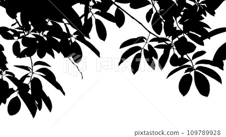 葉剪影 葉剪影 109789928