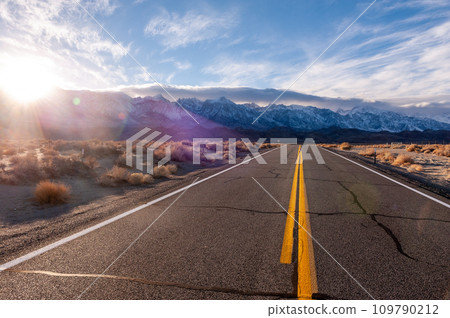 Lone pine California 109790212