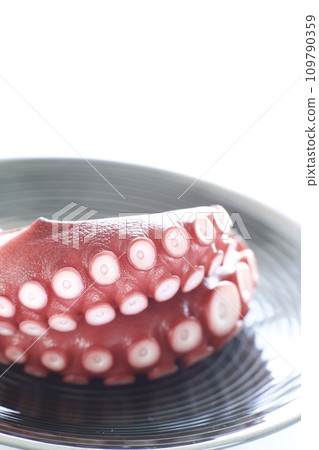 煮章魚 109790359