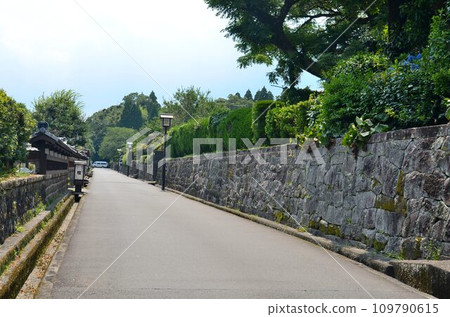 Little Kyoto in Kyushu, a town with the charm and atmosphere of a castle town, Obi, Nichinan City 109790615