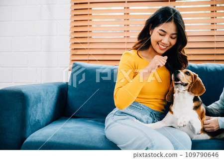 In an affectionate family portrait, a woman and her mother enjoy a bonding session with their Beagle dog on the sofa. Their love and loyalty shine through in their smiles. Pet love 109790646