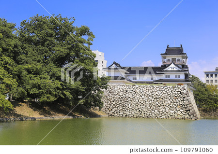 Toyama Toyama Castle (from the southwest of the castle) 109791060