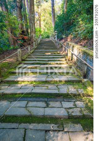 (Fukuroi City, Shizuoka Prefecture) The sacred mountain of Eye, Yuzanji Temple, stone steps on the approach 109791076