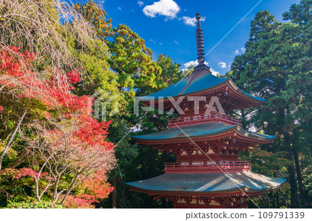 （靜岡縣袋井市）秋季的眼神山、湯山寺、三層塔 109791339