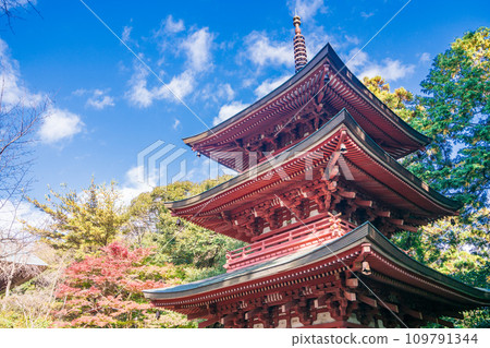 (Fukuroi City, Shizuoka Prefecture) Sacred Mountain of the Eye, Yuzanji Temple and Three-Storied Pagoda in Autumn 109791344