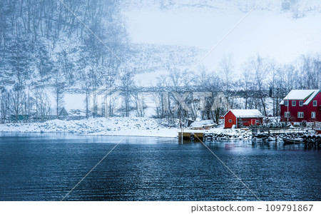 Norwegian Fjords in winter Norwegian Fjords in winter 109791867