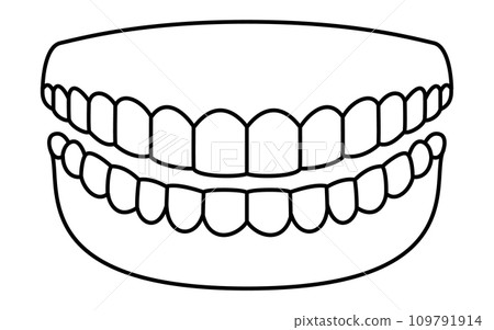 Dentistry, image illustration of healthy and beautiful teeth, 14 upper and lower teeth and gums 109791914