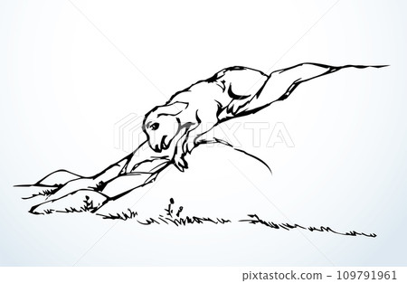 Vector drawing. The sheep got lost in the field Vector drawing. The sheep got lost in the field 109791961