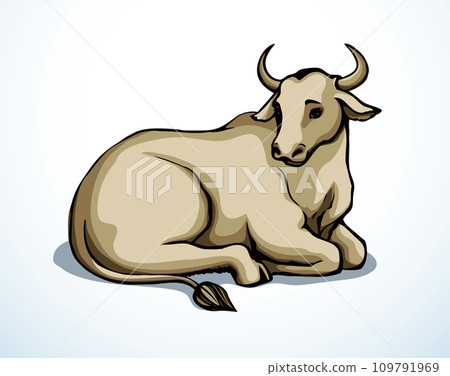 Vector drawing. Cute big cow 109791969