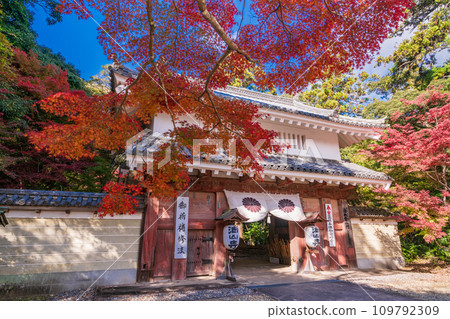 （靜岡縣袋井市）眼睛的聖山，雄山寺，正門秋葉美麗 109792309