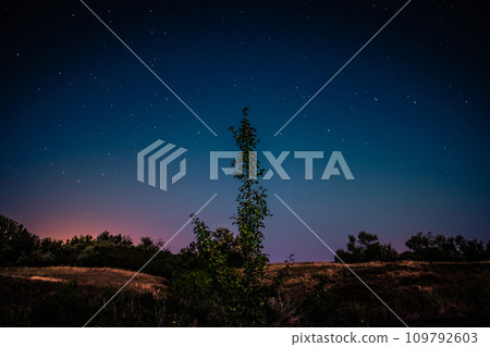 Steppe panorama with curly startrails Steppe panorama with curly startrails 109792603