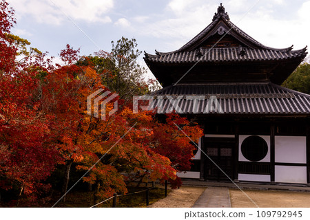 與畫家雪週有關的禪宗寺廟 #報福寺 #井山報福寺 #本宮 與畫家雪週有關的禪宗寺廟 #報福寺 #井山報福寺 #本宮 109792945