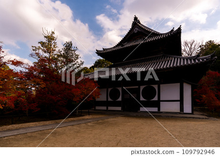 與畫家雪週有關的禪宗寺廟 #報福寺 #井山報福寺 #本宮 109792946
