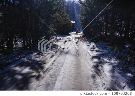 一條被雪覆蓋的小路穿過已經開始融化的樹林 109793208