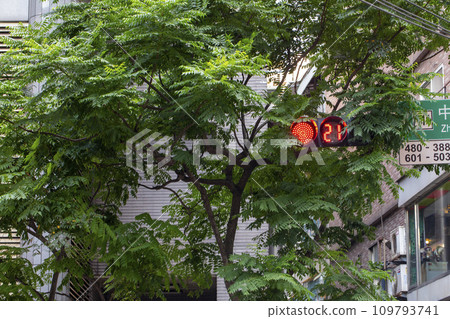 Road sign, sign, pedestrian signal, traffic light, road sign, sign, pedestrian, signal, Road signs, sign 109793741