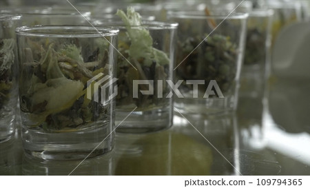 Close-up of green salad made of tomatoes, lettuce and crackers seasoned with mayonnaise in glasses. Verrines appetizer, cucumber, cream cheese, herbs, capers in glasses. Catering for party close up. Close-up of green salad made of tomatoes, lettuce and crackers seasoned with mayonnaise in glasses. Verrines appetizer, cucumber, cream cheese, herbs, capers in glasses. Catering for party close up. 109794365