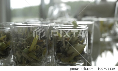 Close-up of green salad made of tomatoes, lettuce and crackers seasoned with mayonnaise in glasses. Verrines appetizer, cucumber, cream cheese, herbs, capers in glasses. Catering for party close up. 109794436