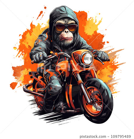 Image of monkey is riding a motorcycle on transparent background, Living life, Wildlife Animals. Illustration, Generative AI. 109795489
