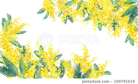 兩個角裝飾框架與含羞草水彩插圖。春天圖像背景。 109795819