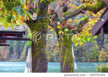 Germany, Königssee, restaurant, umbrella, countryside, ドイツ, キングレイク, レストラン, umbrella, field boat, Germany, 109795895