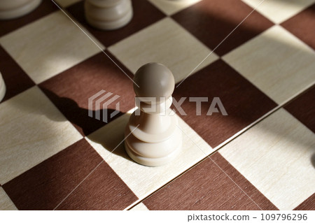 Beautiful chess pieces on the board. The chessboard. Chess competitions. 109796296