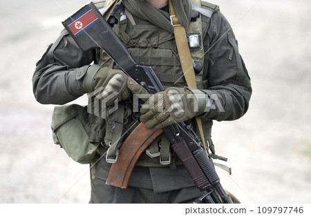 Flag of North Korea on assault rifle butt. Collage. 109797746