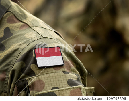 Flag of Monaco on military uniform. Army, soldiers. Collage. 109797896