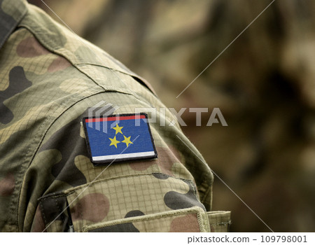 Flag of Autonomous Province of Vojvodina on military uniform. Army, soldiers. Collage. Flag of Autonomous Province of Vojvodina on military uniform. Army, soldiers. Collage. 109798001