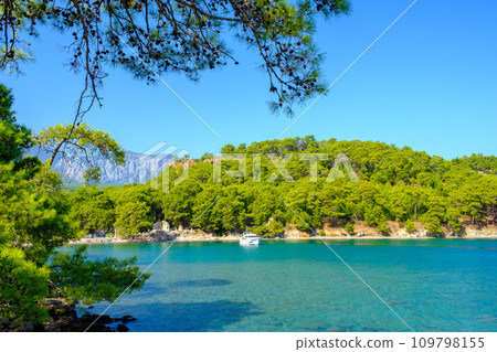 tropical seascape and sandy beach with turquoise clear sea and pine tree forest tropical seascape and sandy beach with turquoise clear sea and pine tree forest 109798155
