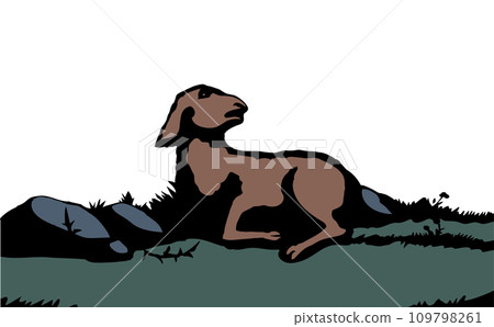 Vector drawing. The sheep got lost in the field 109798261