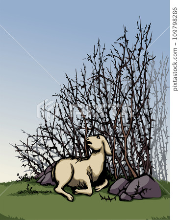 Vector drawing. The sheep got lost in the thorn bushes 109798286