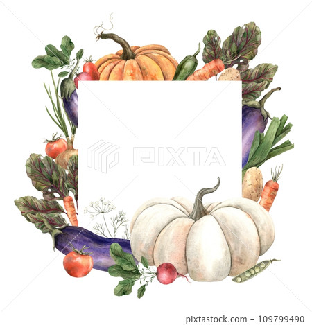 Frame, board, poster of different vegetables: pumpkin, radishes, beets, onions. Hand drawn in watercolors. Use in the design of cookbooks, menus, posters, postcards, advertising, fabric. Frame, board, poster of different vegetables: pumpkin, radishes, beets, onions. Hand drawn in watercolors. Use in the design of cookbooks, menus, posters, postcards, advertising, fabric. 109799490