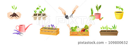 Garden and Horticulture with Hand and Pot with Plant Vector Set Garden and Horticulture with Hand and Pot with Plant Vector Set 109800632