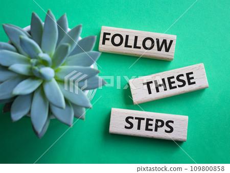 Follow these steps symbol. Wooden blocks with words Follow these steps. Beautiful green background with succulent plant. Business and Follow these steps concept. Copy space. Follow these steps symbol. Wooden blocks with words Follow these steps. Beautiful green background with succulent plant. Business and Follow these steps concept. Copy space. 109800858