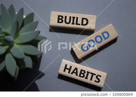 Build good habits symbol. Wooden blocks with words Build good habits. Beautiful grey background with succulent plant. Business and Build good habits concept. Copy space. Build good habits symbol. Wooden blocks with words Build good habits. Beautiful grey background with succulent plant. Business and Build good habits concept. Copy space. 109800869