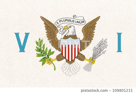 Flag of United States Virgin Islands. symbol of United States Virgin Islands 109801231
