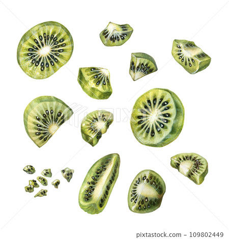 Watercolor bright green kiwi fruit with pieces and slices for the design of labels, covers, websites of juices, food, cakes, confectionery, sweets 109802449